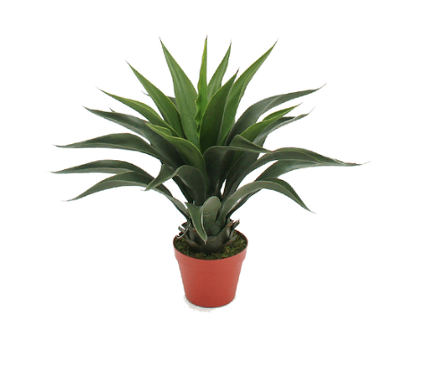 Agave Planta Artificial